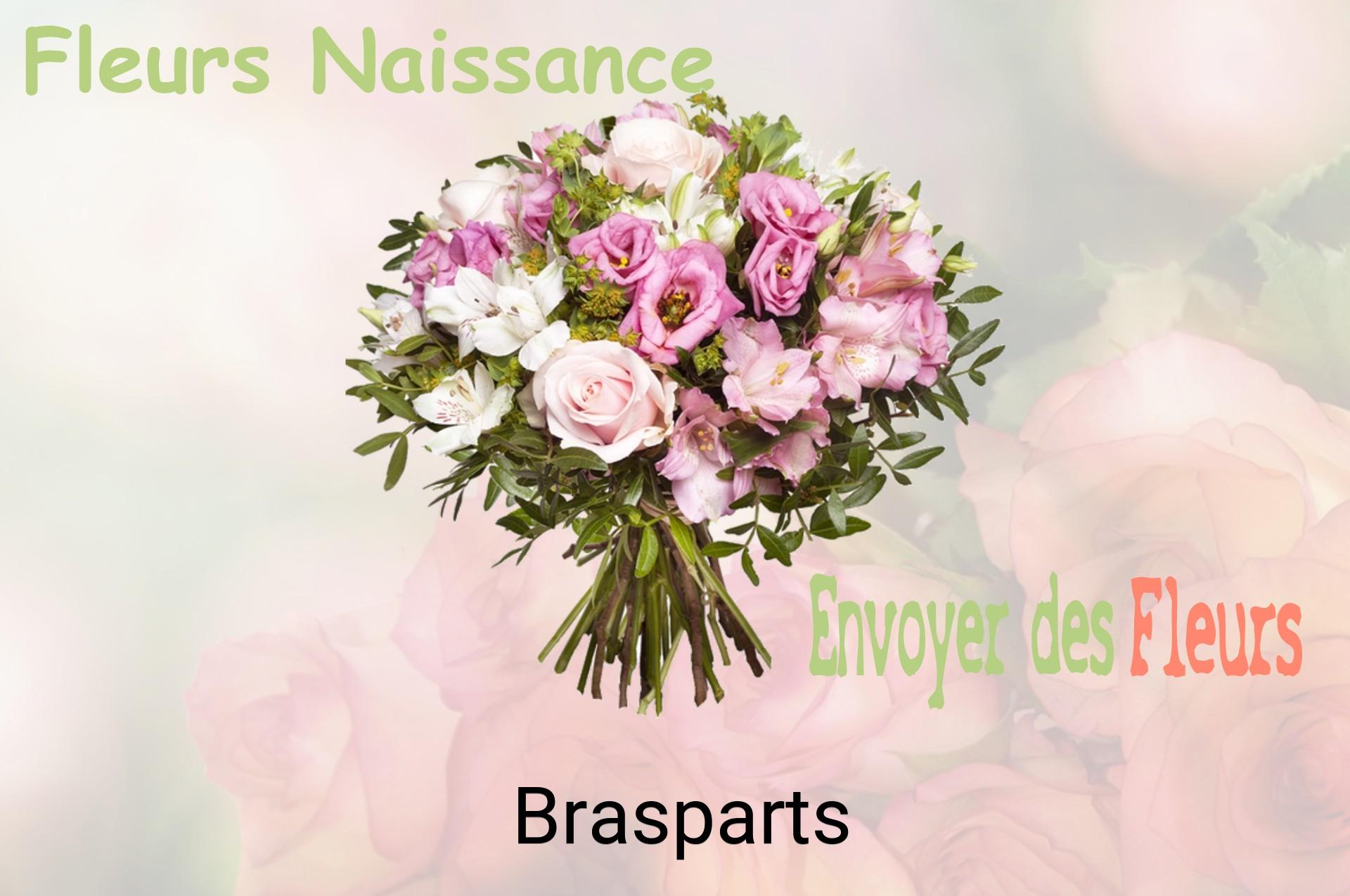Bouquet de fleurs de naissance livré à Brasparts